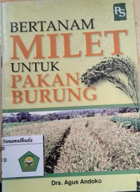 Bertanam Milet Untuk Pakan Burung